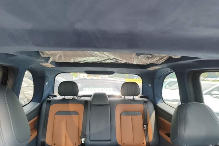 Used LEVC TX 2022 TX5 Extended-Range Urban Living Room Edition Headliner
