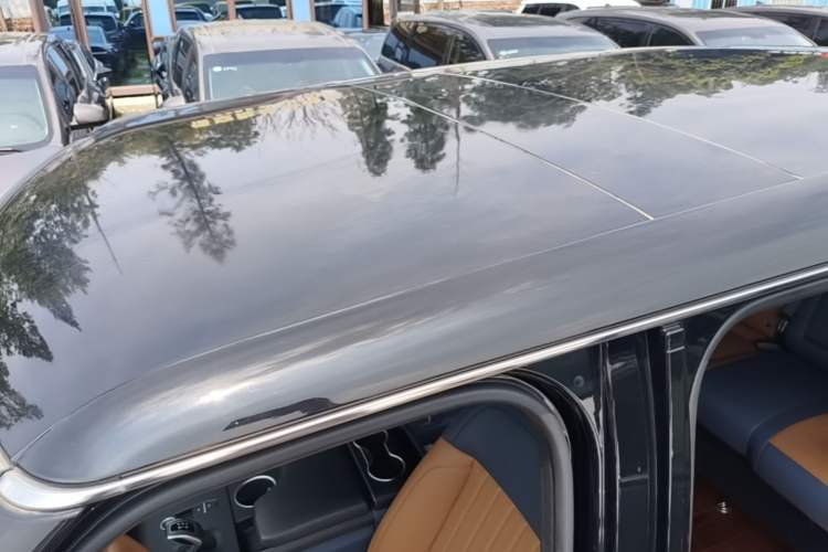 Used LEVC TX 2022 TX5 Extended-Range Urban Living Room Edition Roof