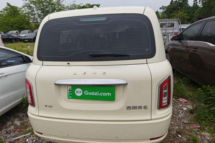 Used LEVC TX 2022 TX5 Extended-Range Space Enjoyment Edition Rear