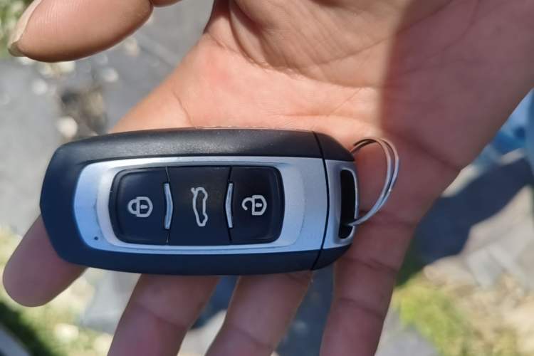 Used LEVC TX 2022 TX5 Extended-Range Urban Living Room Edition Vehicle Key