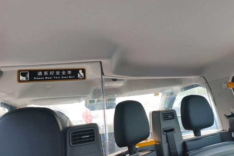 Used LEVC TX 2023 TX5 Extended-Range Travel Edition Headliner