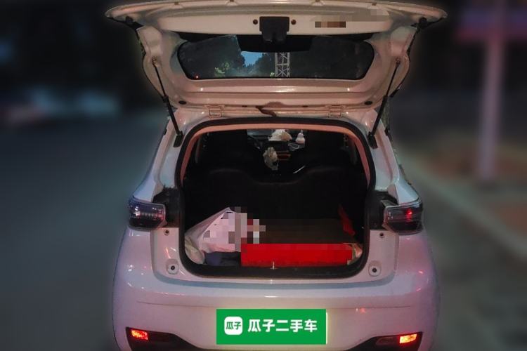 Used Levdeo Mango 2021 Qumang Yuedong Edition 185km Trunk