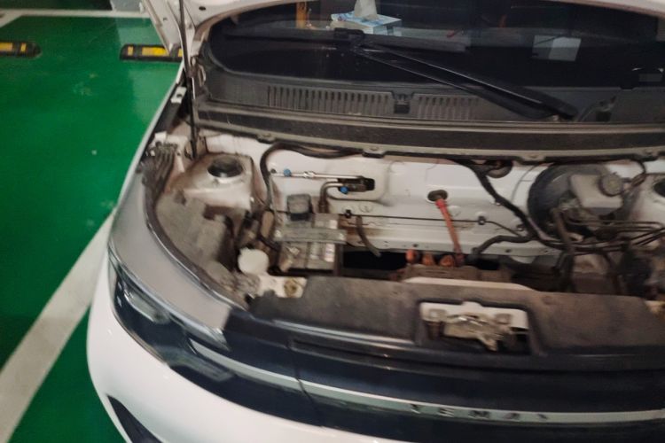 Used Levdeo Mango 2022 200 Classic Edition Engine Bay Right