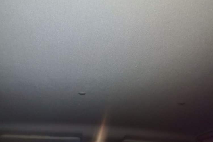 Used Levdeo Mango 2022 200 Standard Edition Headliner