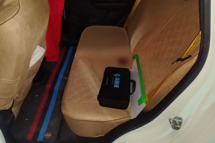 Used Levdeo Mango 2022 200 Standard Edition Left Rear Seat