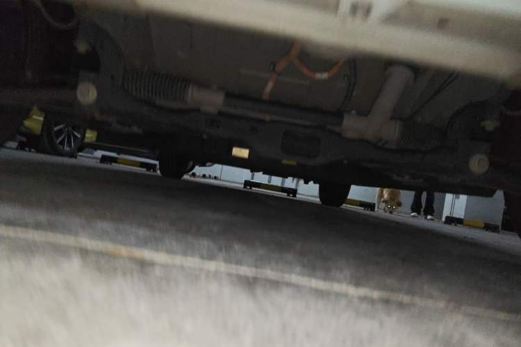 Used Levdeo Mango 2021 Qumang Happy Edition Chassis Front