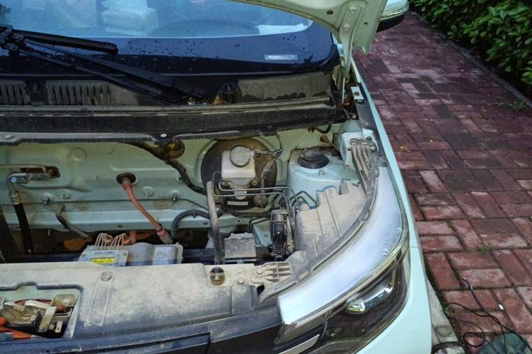 Used Levdeo Mango 2021 Qumang Happy Edition Engine Bay Left