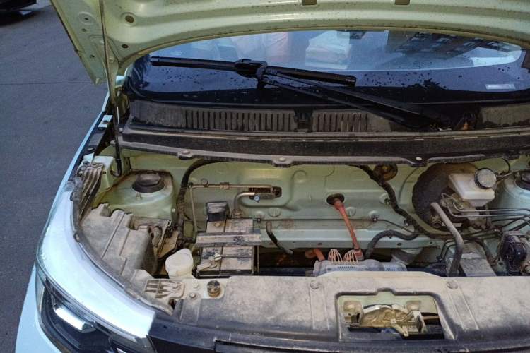 Used Levdeo Mango 2021 Qumang Happy Edition Engine Bay Right