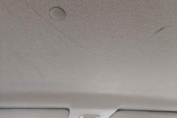 Used Levdeo Mango 2021 Revised Edition ZhiMang Heartbeat Version Headliner