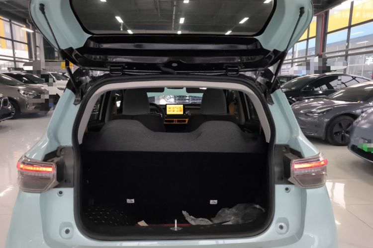 Used Levdeo Mango 2022 200 Standard Edition Trunk