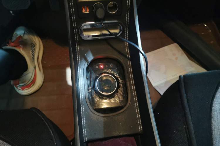 Used Levdeo MangoPro 2022 200 Classic Edition Gear Lever