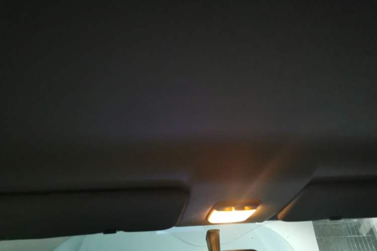 Used Levdeo MangoPro 2022 200 Classic Edition Headliner