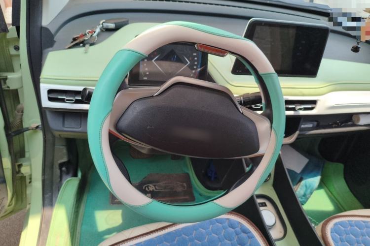 Used Levdeo MangoPro 2022 200 Classic Edition Steering Wheel