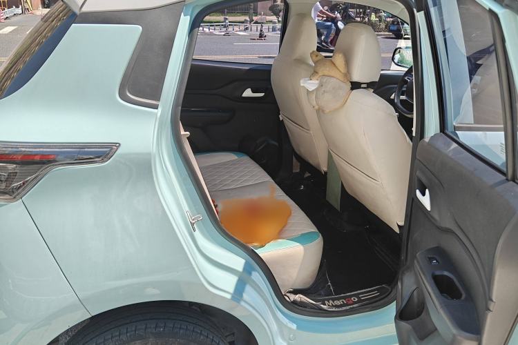 Used Levdeo MangoPro 2022 200 Popularity Edition Interior 5