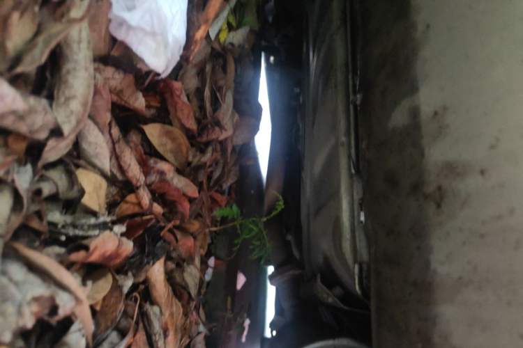 Used Lexus ES 2006 350 Chassis Rear