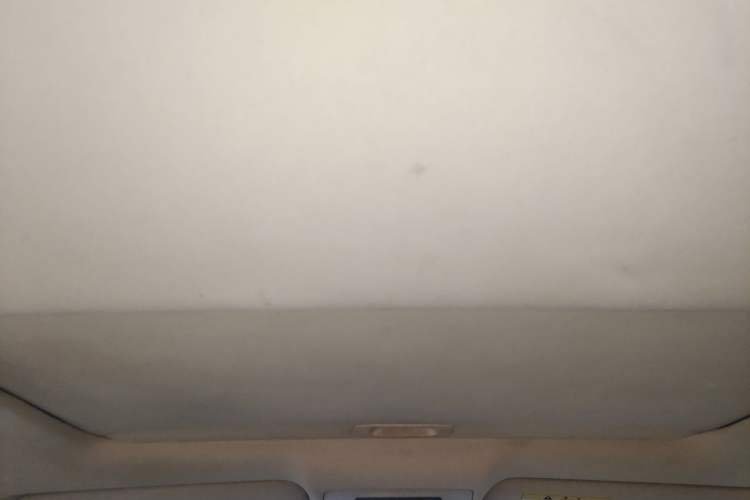 Used Lexus ES 2010 240 Elegant Edition Headliner