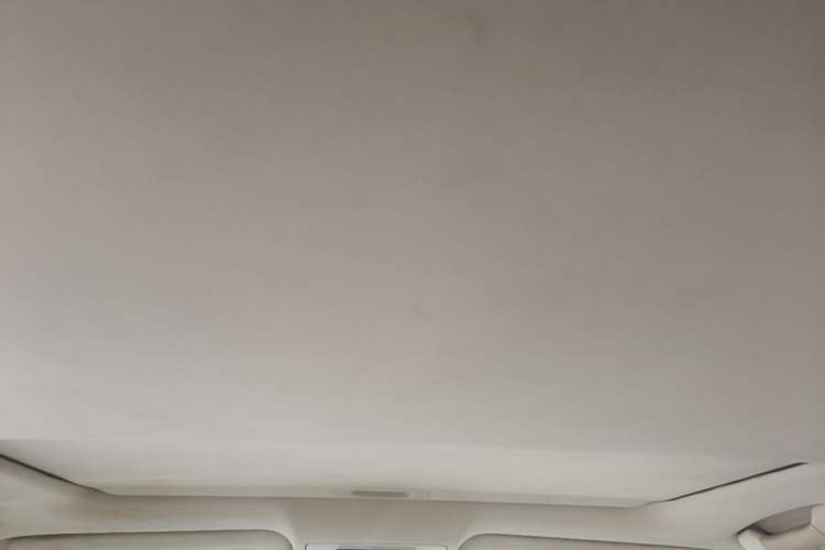 Used Lexus ES 2010 240 Elegant Edition Headliner