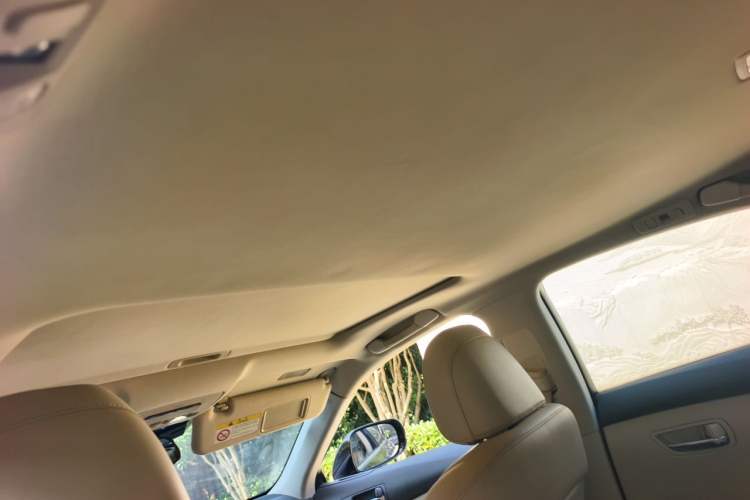 Used Lexus ES 2010 240 Elegant Edition Headliner