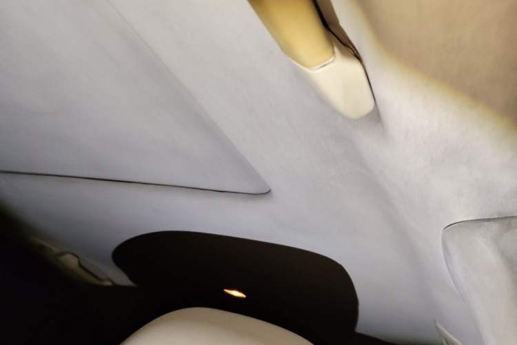 Used Lexus ES 2010 240 Elegant Edition Headliner