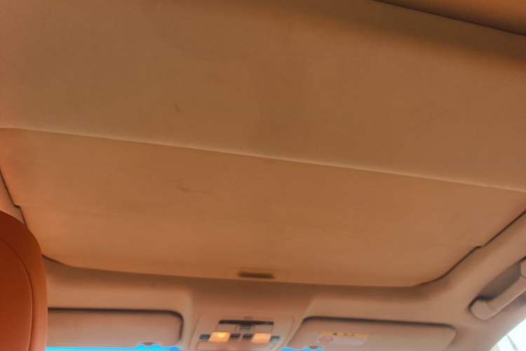 Used Lexus ES 2010 350 Luxury Edition Headliner