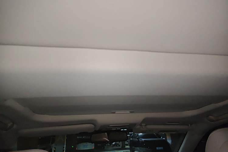 Used Lexus ES 2010 350 Elegant Edition Headliner