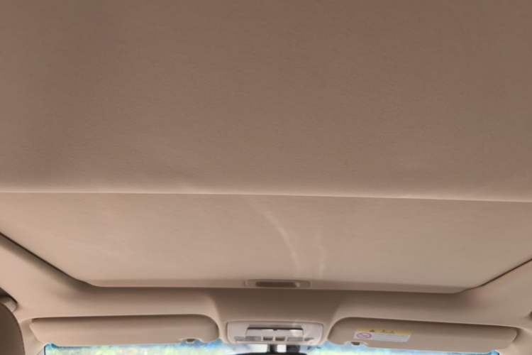 Used Lexus ES 2010 240 Elegant Edition Headliner