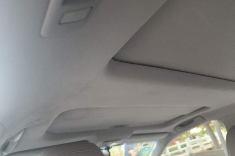 Used Lexus ES 2010 240 Elegant Edition Headliner