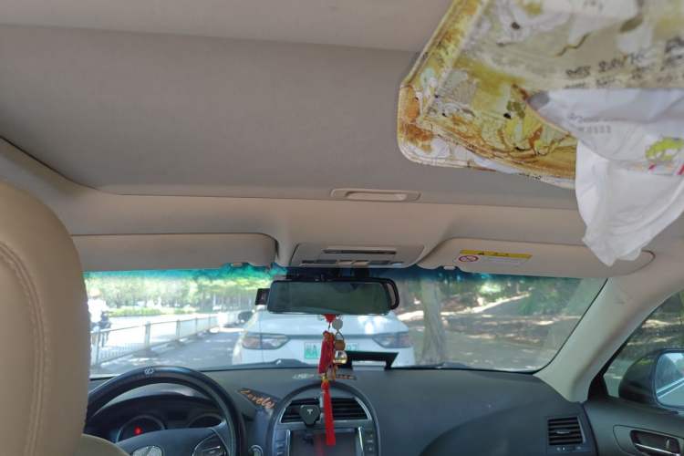Used Lexus ES 2010 240 Elegant Edition Headliner