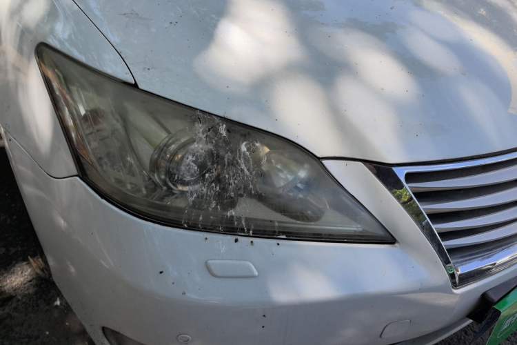 Used Lexus ES 2010 240 Elegant Edition Right Front Headlight
