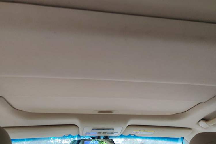Used Lexus ES 2010 350 Elegant Edition Headliner
