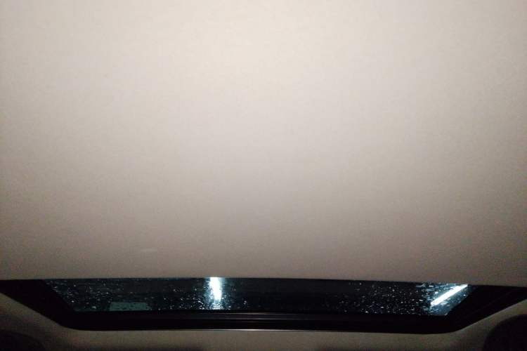 Used Lexus ES 2013 250 Elite Edition Headliner