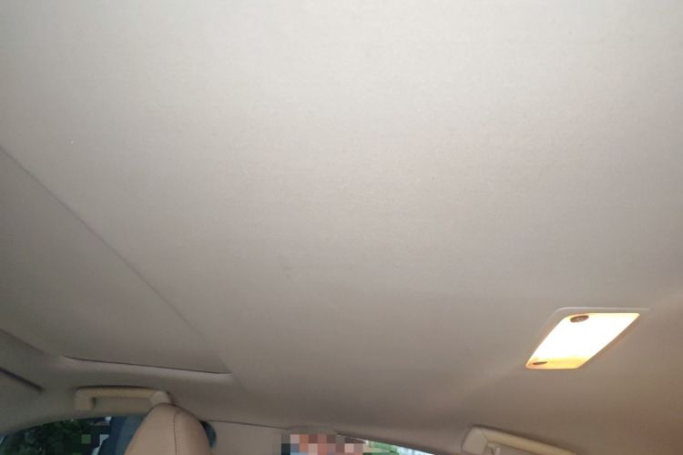 Used Lexus ES 2013 250 Elite Edition Headliner