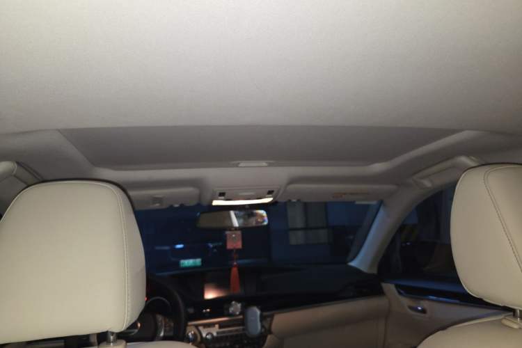 Used Lexus ES 2013 250 Elite Edition Headliner