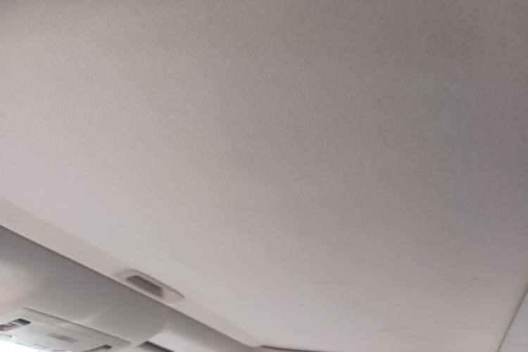 Used Lexus ES 2013 300h Elite Edition Headliner