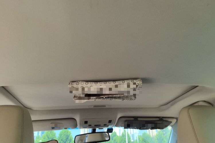 Used Lexus ES 2013 250 Elite Edition Headliner