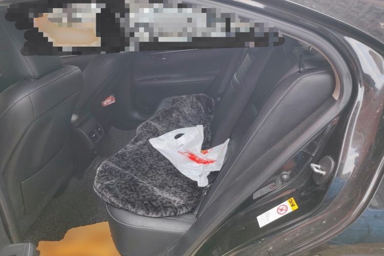 Used Lexus ES 2013 250 Elite Edition Left Rear Seat