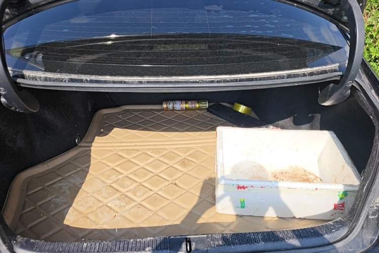 Used Lexus ES 2013 250 Elite Edition Trunk