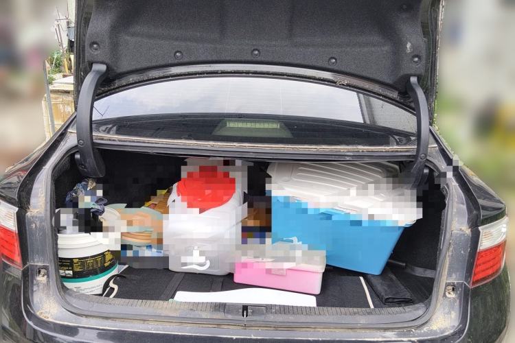 Used Lexus ES 2013 250 Elite Edition Trunk