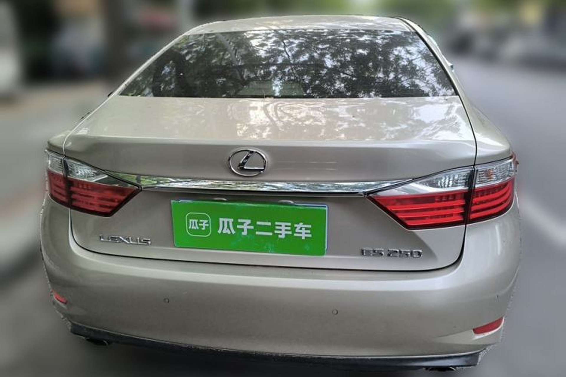 Used Lexus ES 2013 250 Elite Edition Rear