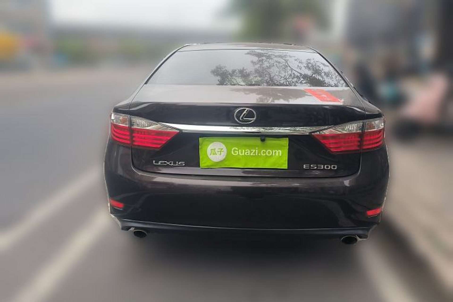 Used Lexus ES 2013 250 Elite Edition Rear