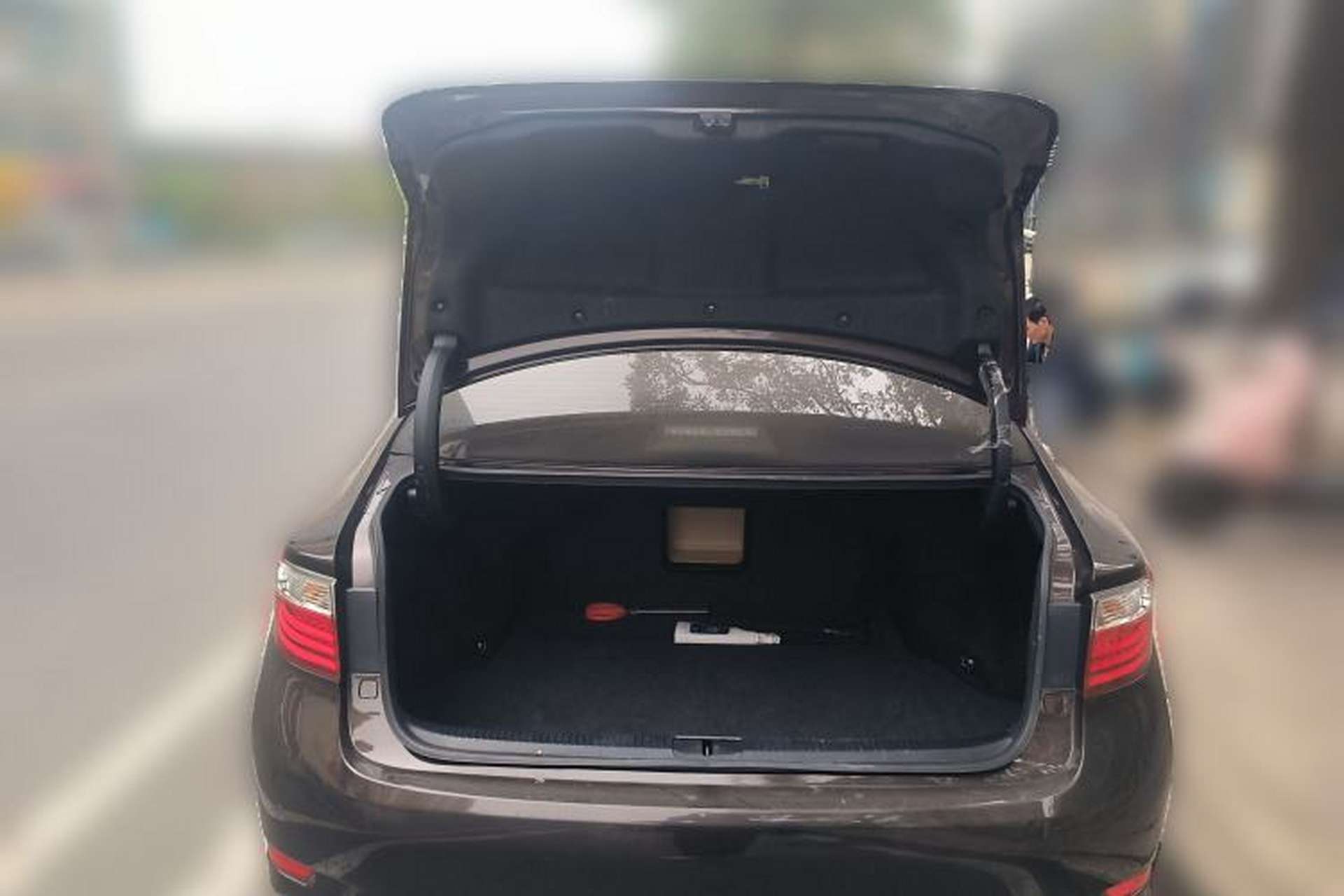 Used Lexus ES 2013 250 Elite Edition Trunk