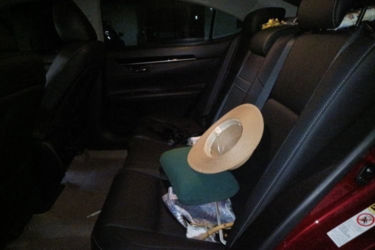 Used Lexus ES 2013 250 Elegant Edition Left Rear Seat