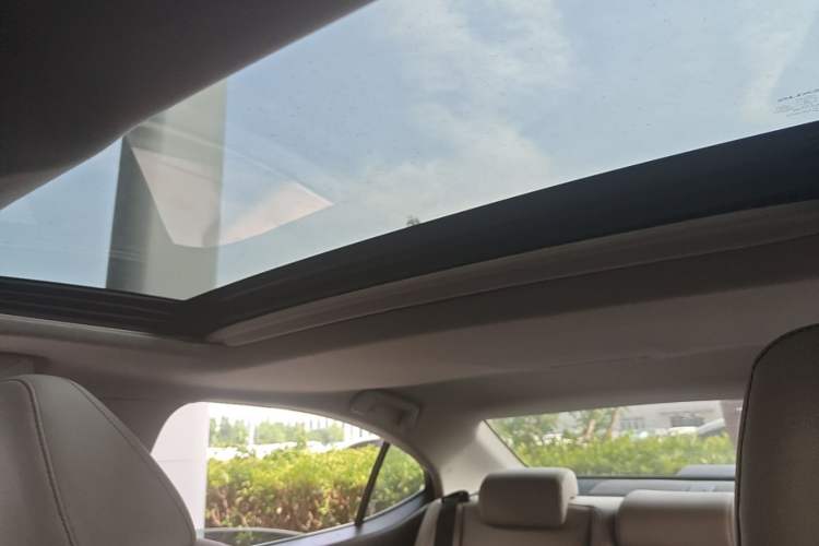 Used Lexus ES 2013 250 Elite Edition Headliner