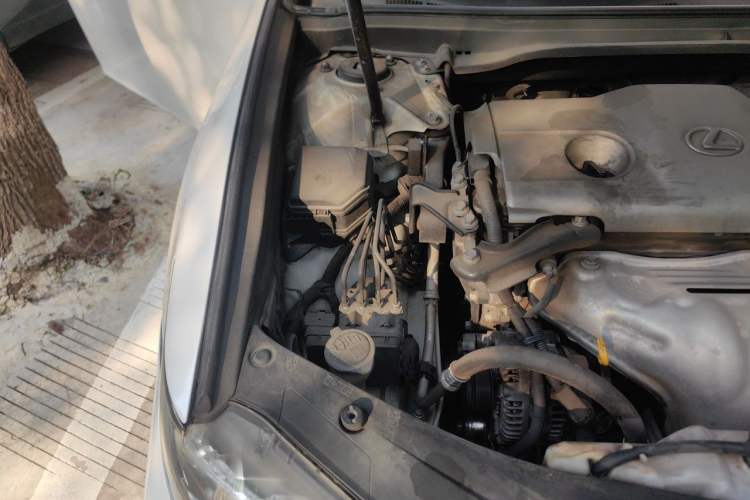 Used Lexus ES 2013 250 Elite Edition Engine Bay Right