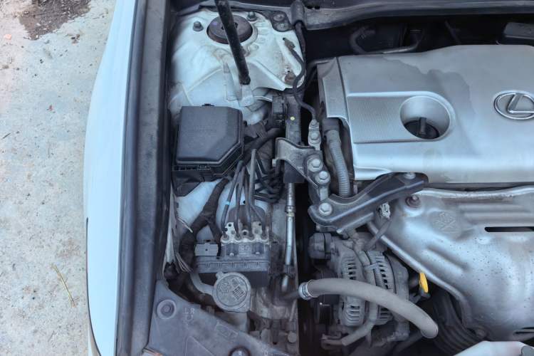 Used Lexus ES 2013 250 Elite Edition Engine Bay Right