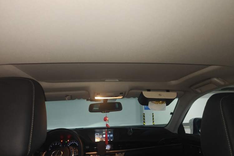 Used Lexus ES 2013 250 Elite Edition Headliner