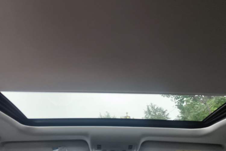 Used Lexus ES 2013 250 Elite Edition Headliner