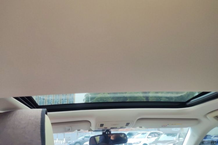 Used Lexus ES 2014 250 Elite Edition Headliner
