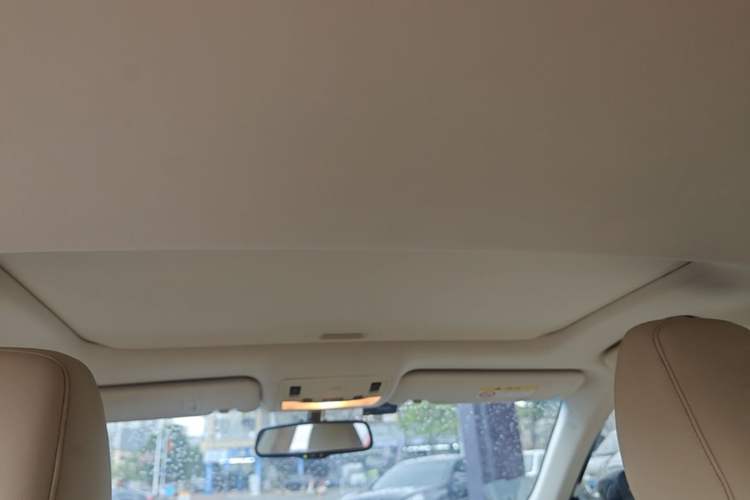 Used Lexus ES 2014 250 Elite Edition Headliner