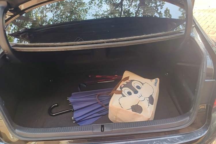 Used Lexus ES 2014 300h Elite Edition Trunk